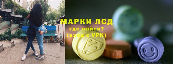 прущие грибы Рославль