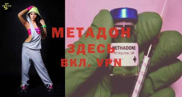 прущие грибы Рославль