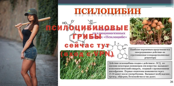 ешки Россошь