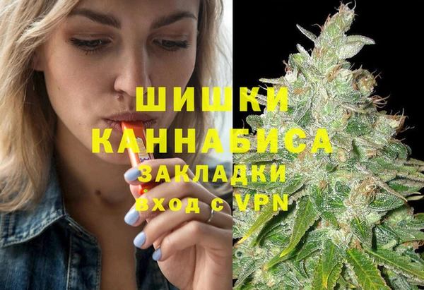 прущие грибы Рославль