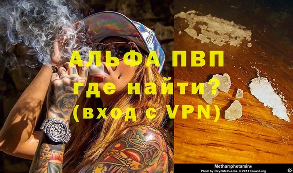 прущие грибы Рославль