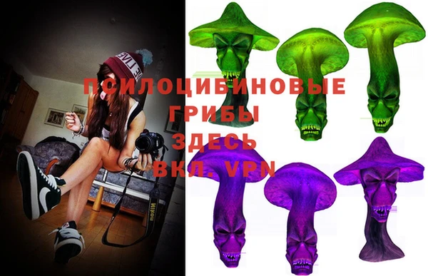 apvp Ростов