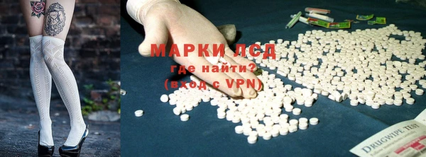 apvp Ростов