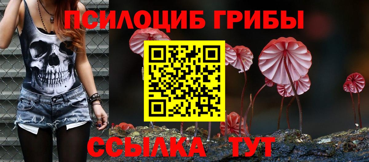 Псилоцибиновые грибы Magic Shrooms Саяногорск